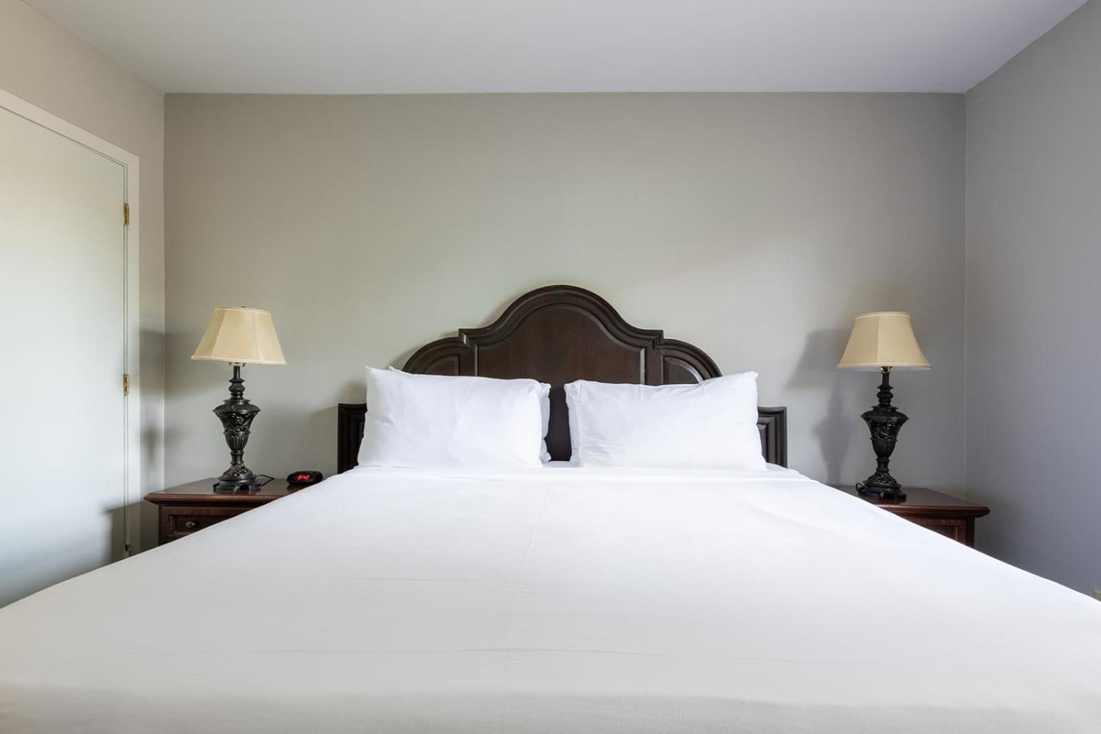 French Quarter Suites Hotel 新奥尔良 外观 照片