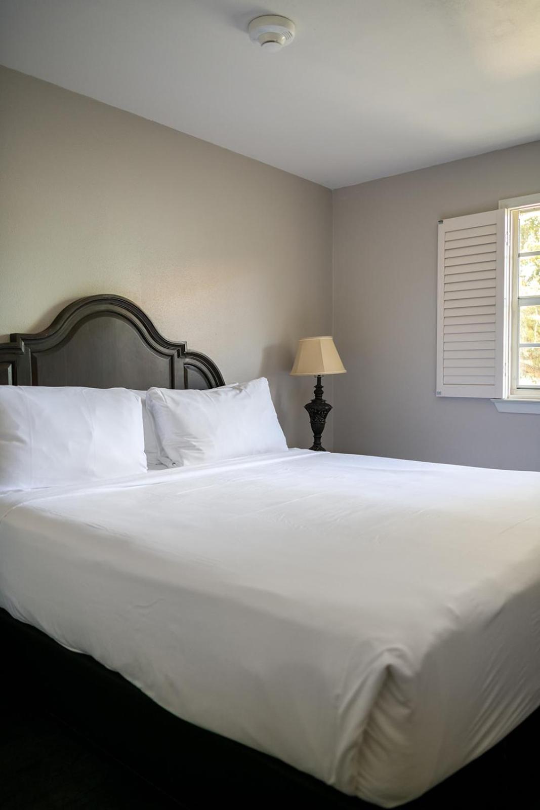 French Quarter Suites Hotel 新奥尔良 外观 照片